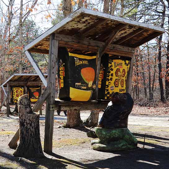 Archery Range Target At Brookhaven Archery Range